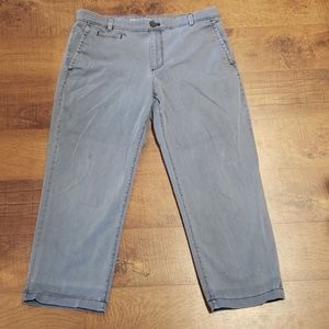 Banana Republic Boyfriend Crop Pants